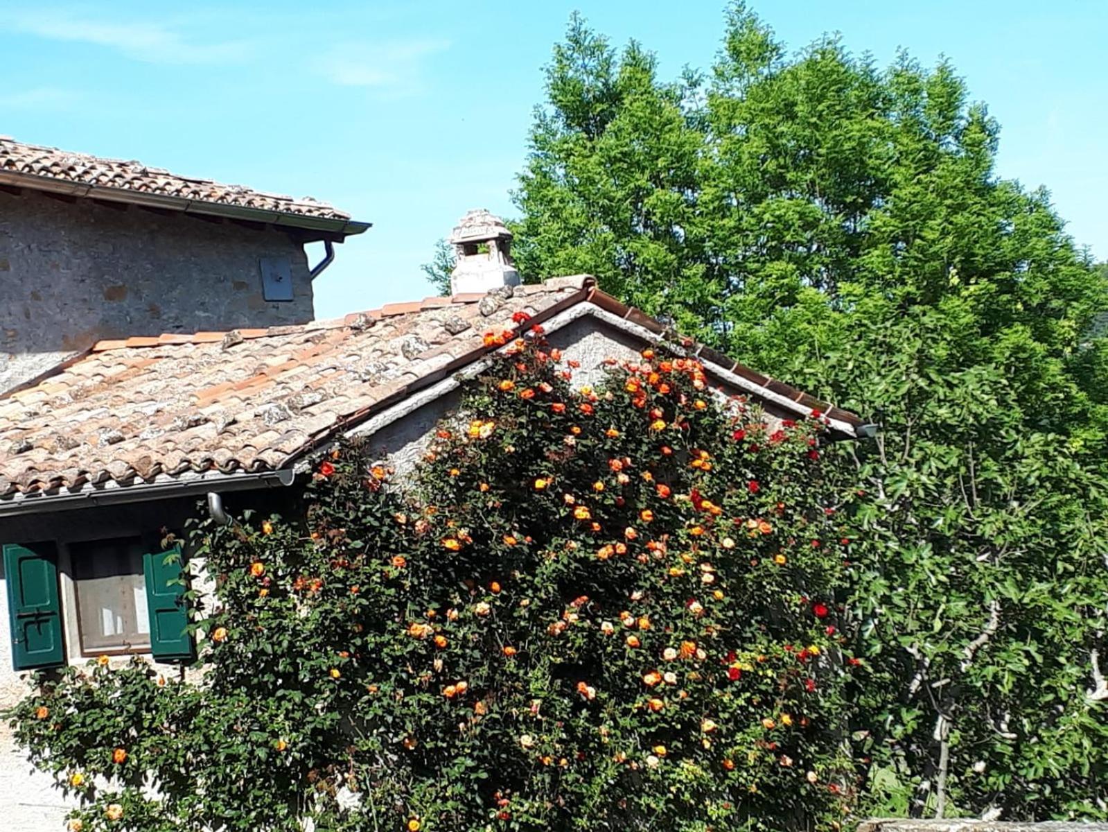 La Corte Bonomini Bed & Breakfast Neviano degli Arduini Exterior photo